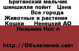 Британский мальчик шиншилла-пойнт › Цена ­ 5 000 - Все города Животные и растения » Кошки   . Ненецкий АО,Нельмин Нос п.